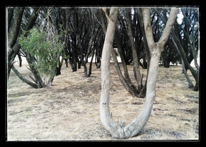 wp-1402985163718 image