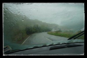 Our view from the car windows1