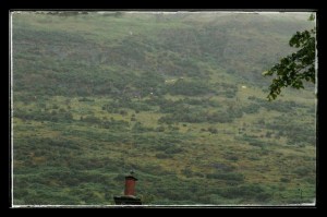 If you look very, very,very closely you may be able to see the white human "ants" running up the hill. If you click on the photo to enlarge it, you may be able to see it better.