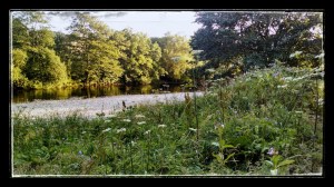 River Wharfe running at bottom of Ilkley