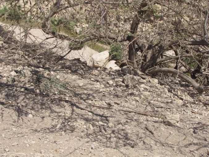 IMG_1885 - Edited (1)