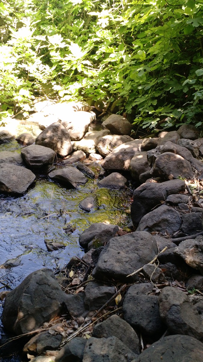 IMG_20170420_172220405