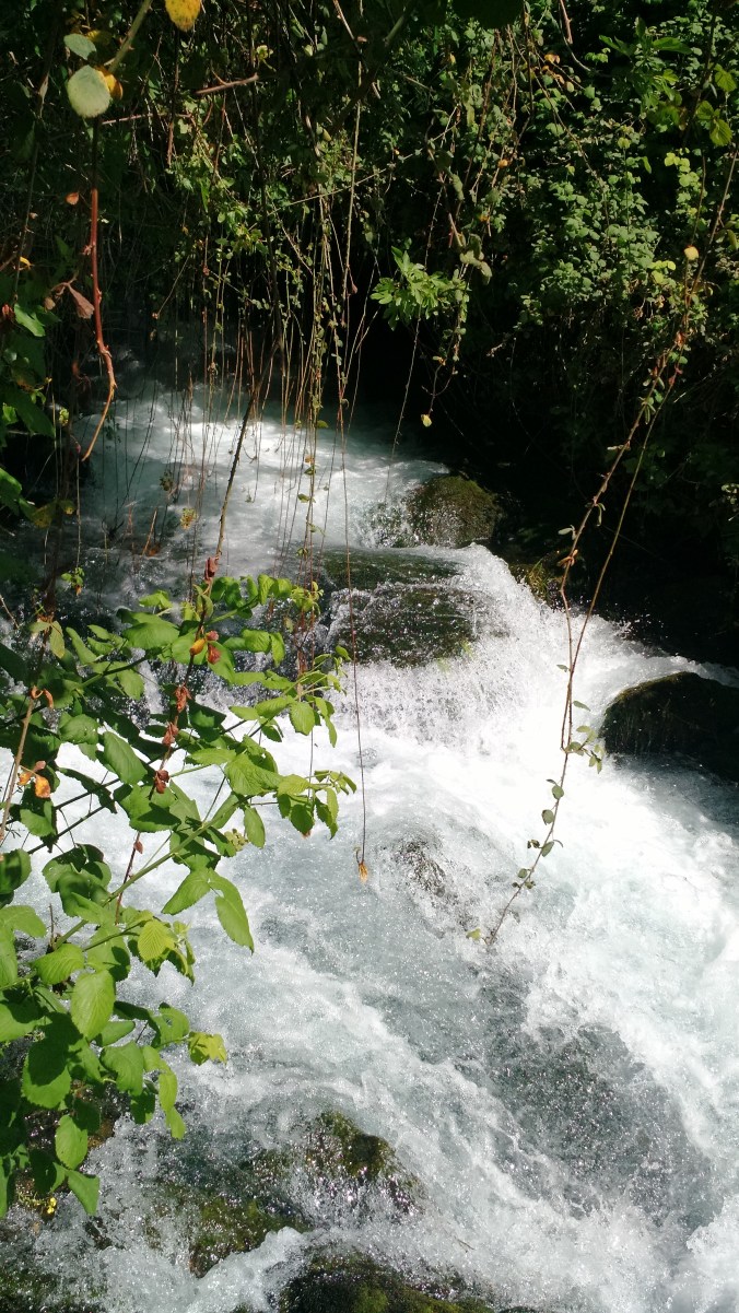 IMG_20170420_193946811