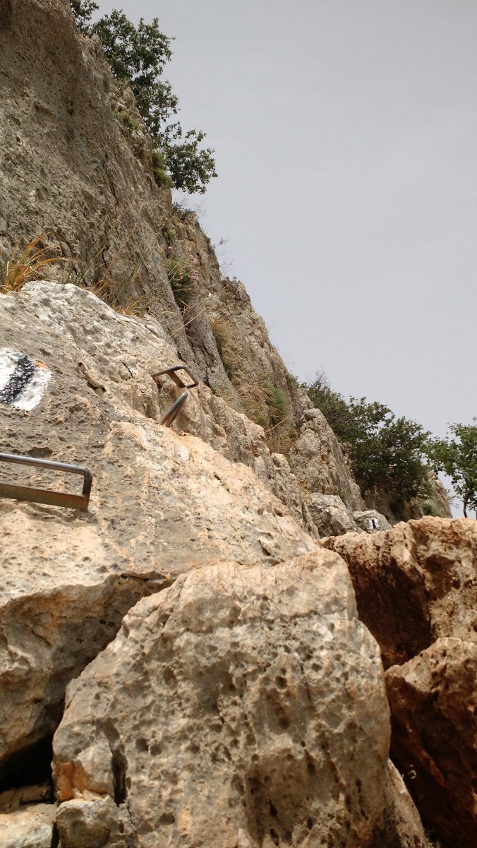 IMG_20170426_162716451