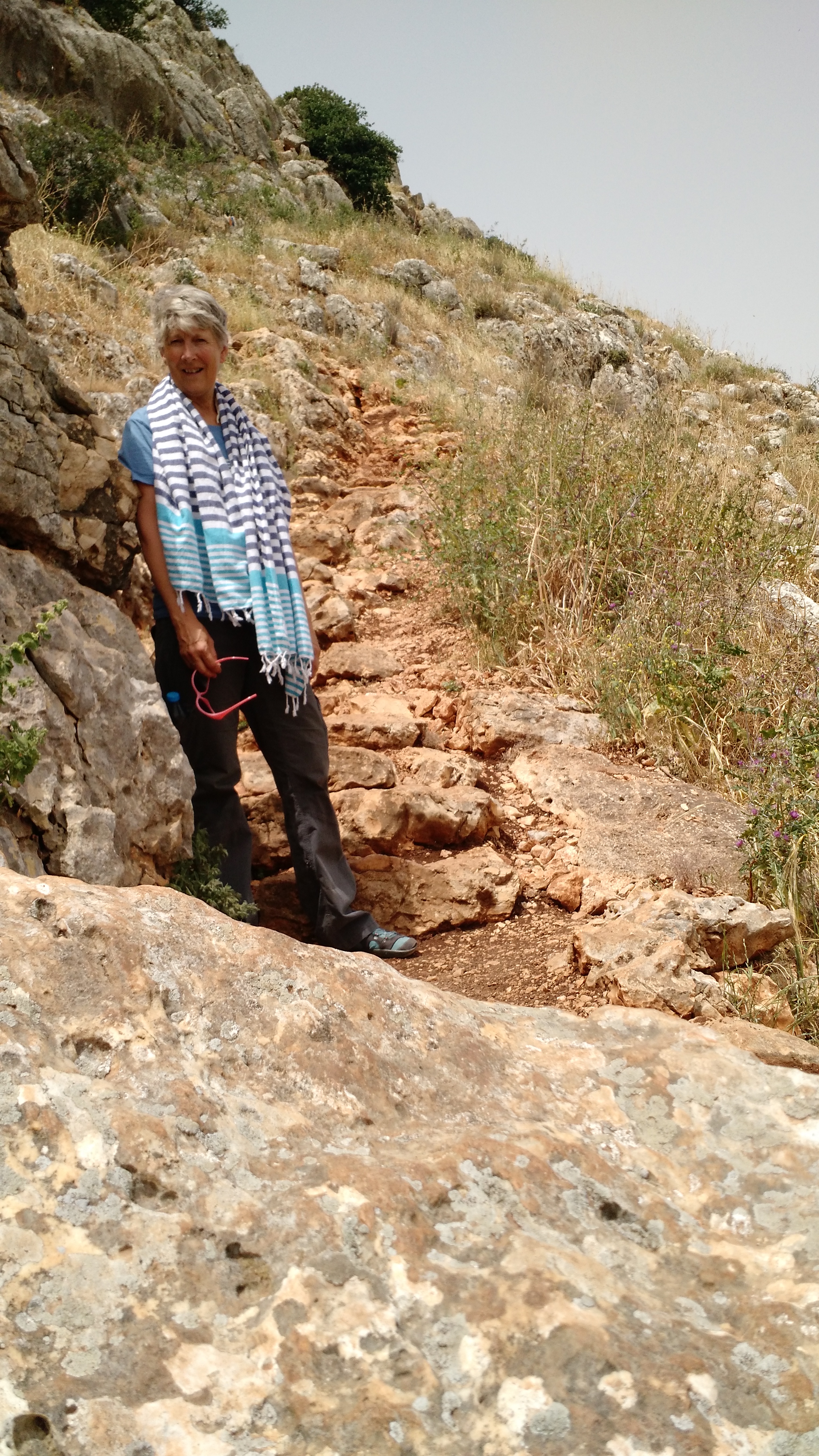 IMG_20170426_163152815 (1)