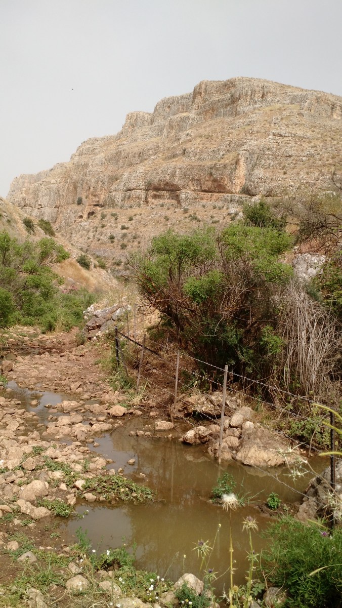 IMG_20170426_202142325