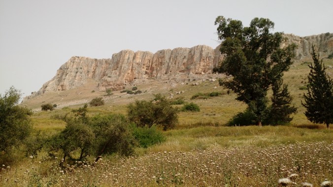 IMG_20170426_205335952