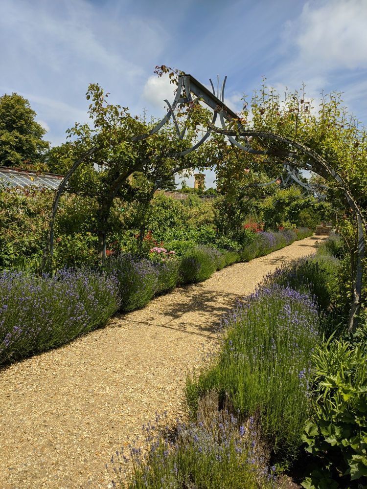 img_20240619_2031571277809272463853161