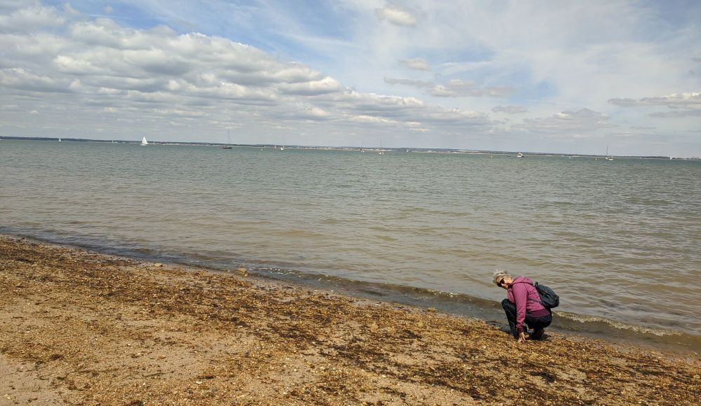 img_20240619_2131425727789990410114528