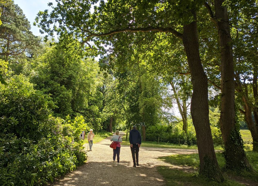 img_20240619_2216052791605254221726261