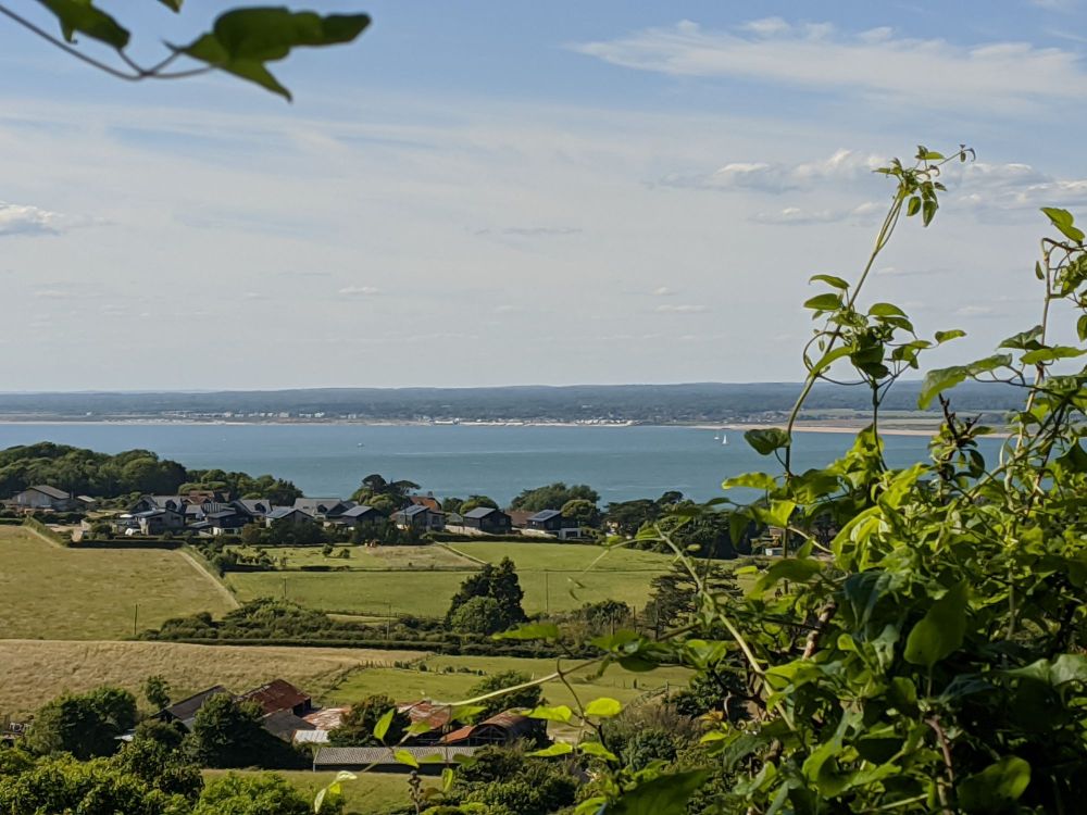 img_20240620_2333238779791276659486030