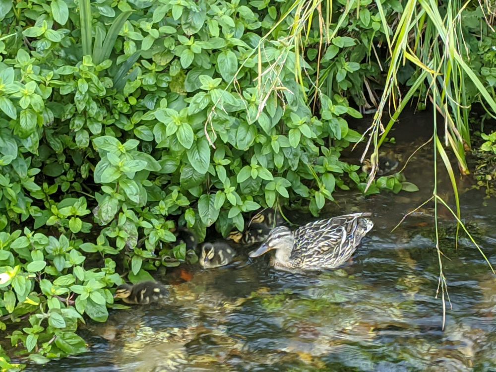 img_20240621_1715371545025318241588376