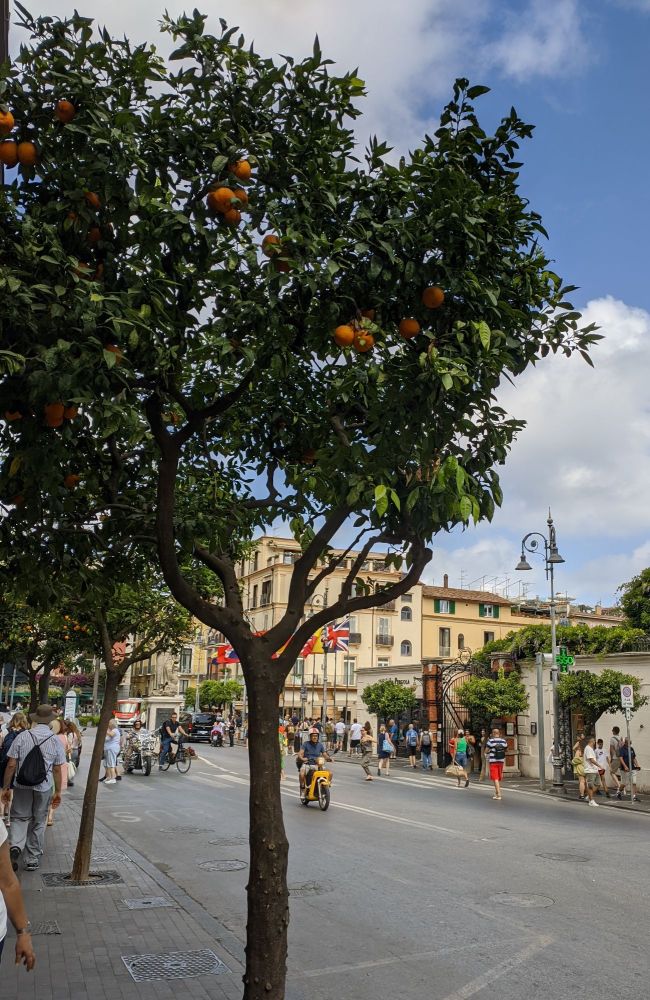 img_20240623_1607101425972716926338931