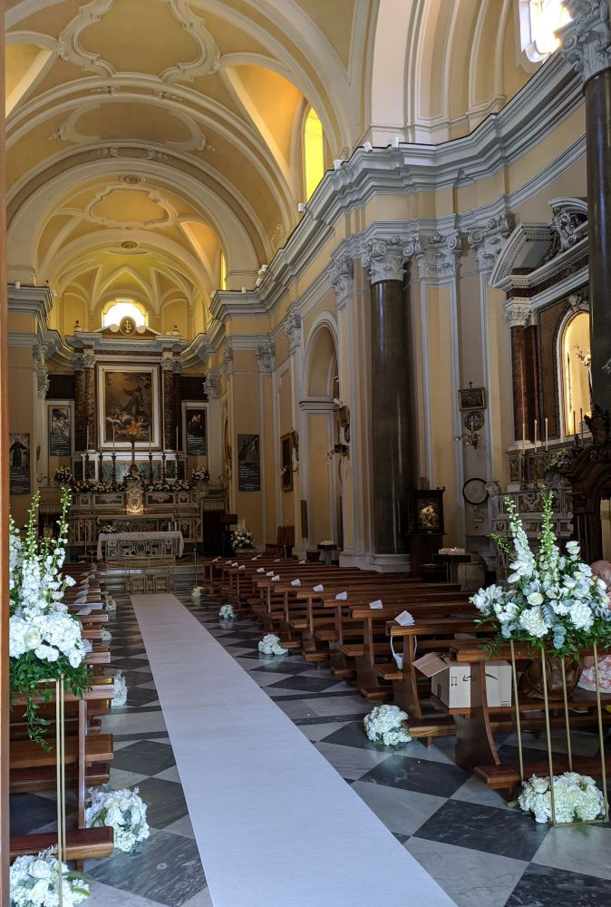 img_20240623_2018188564654606808944766