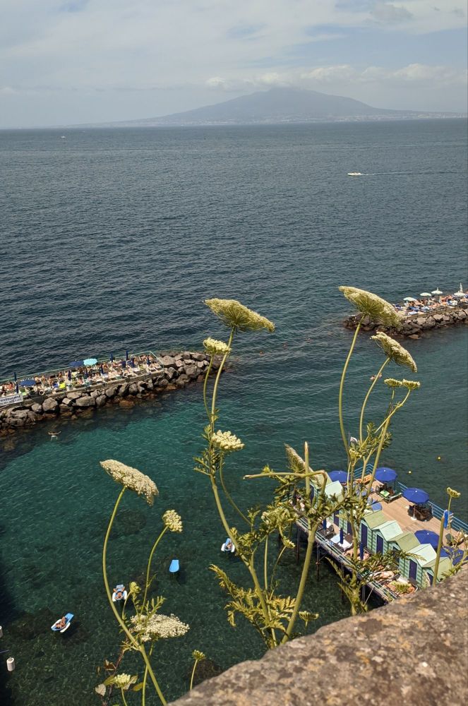 img_20240623_2025336216091652243916729