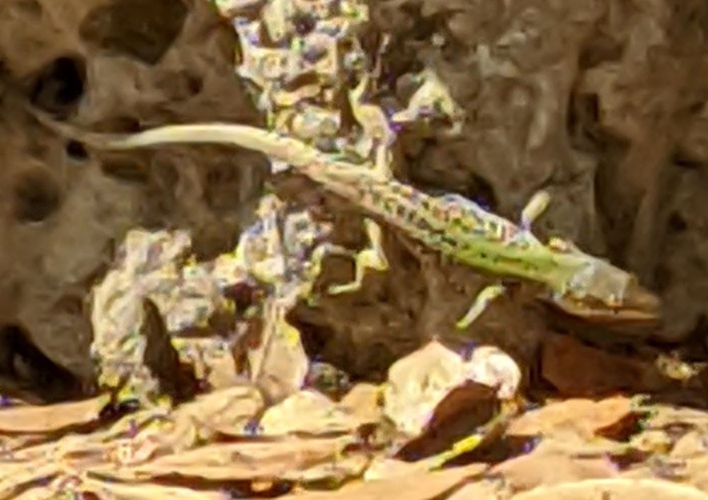 img_20240626_1633405330808707450645015