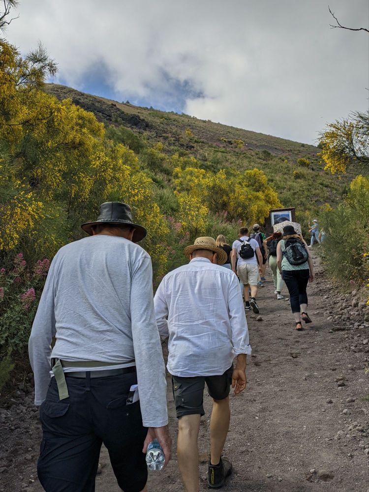 img_20240627_1618064541436384240895590