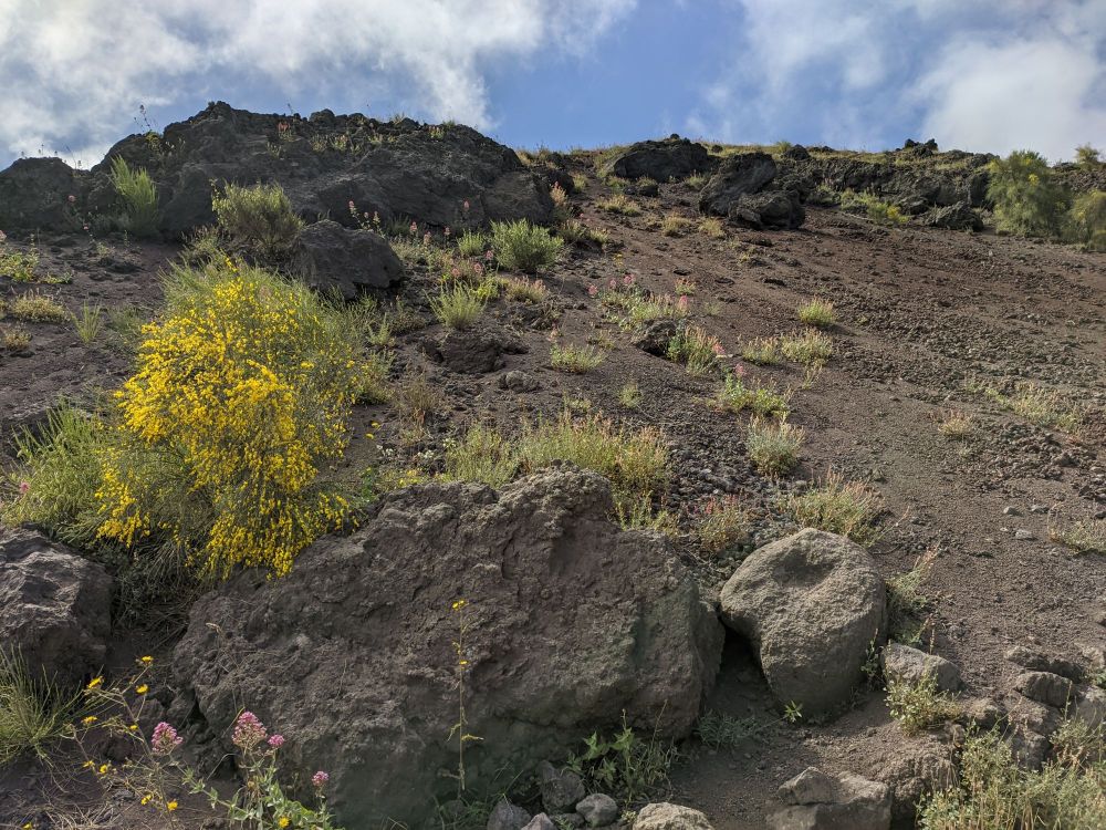 img_20240627_1626523499209982606081469