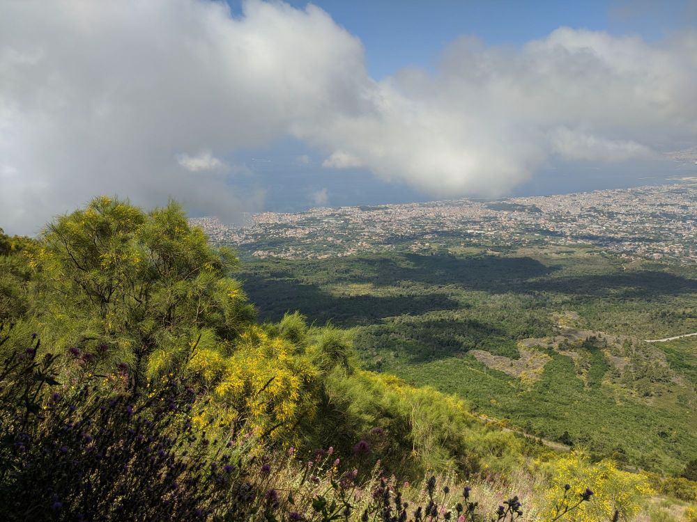 img_20240627_1641271761990423248742508