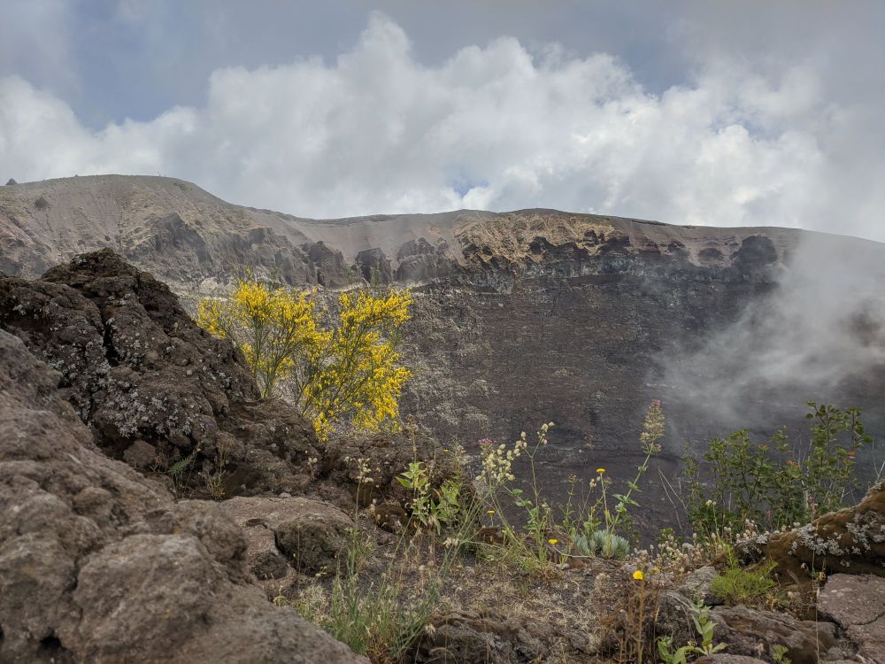 img_20240627_1710046813761917577362934