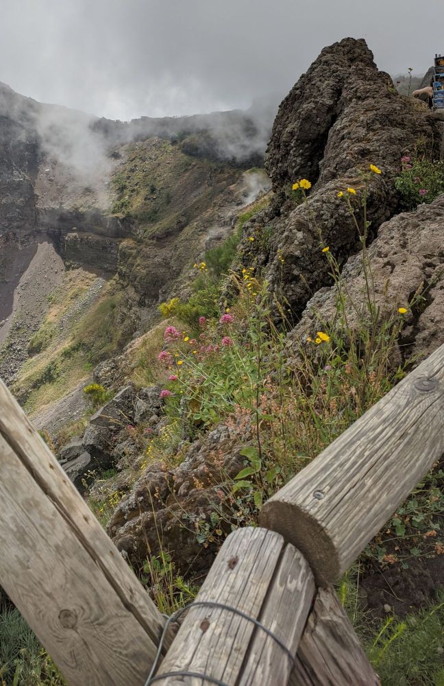 img_20240627_1713244219367848212872480