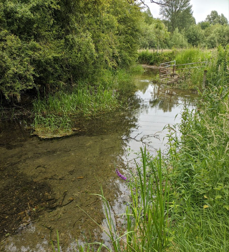 img_20240701_1636034540586151866132224