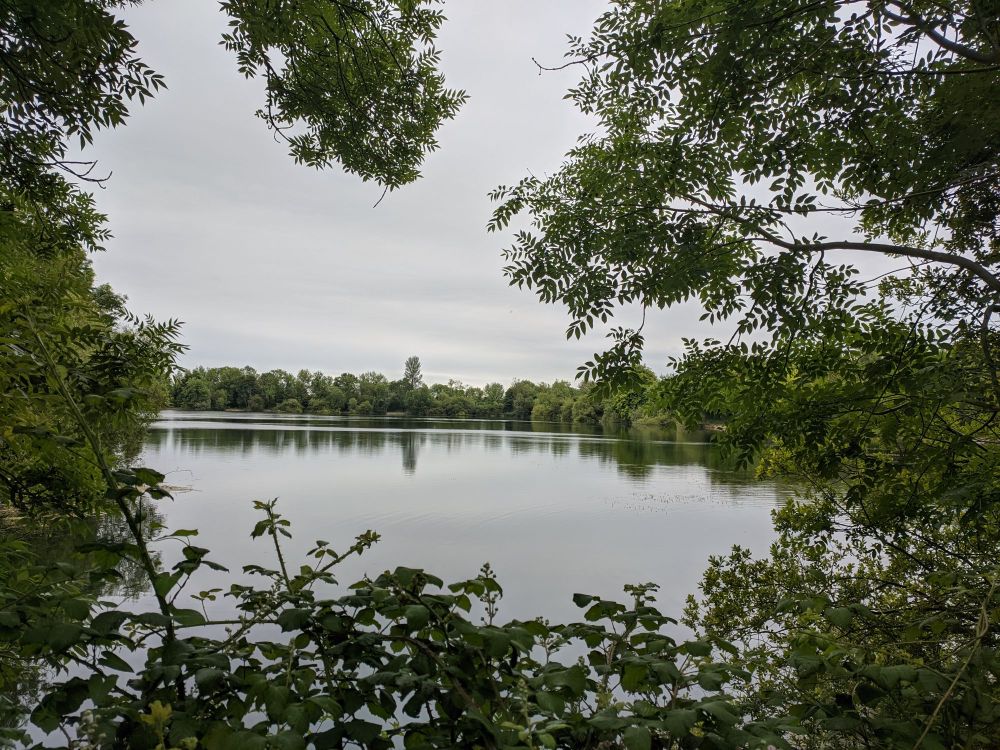 img_20240701_1733538869252799068957825