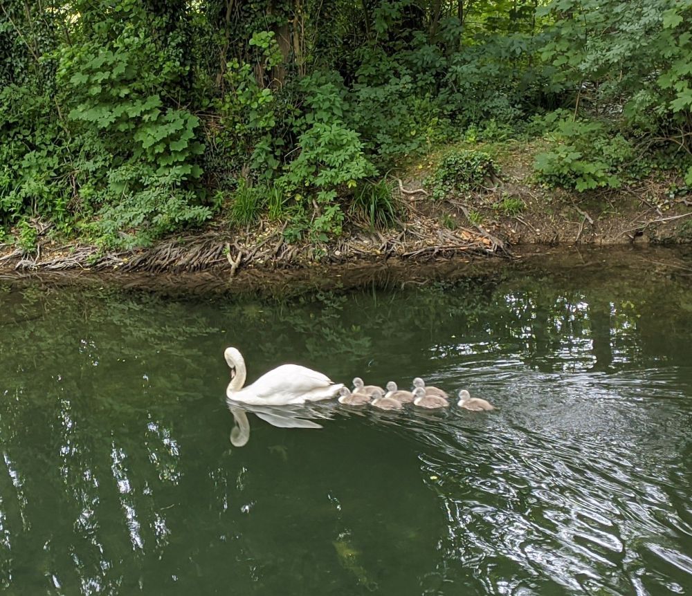 img_20240701_174027349513311426059676