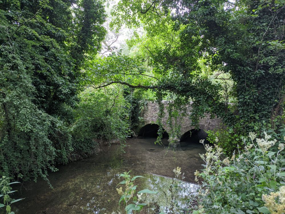 img_20240701_1753332155331848507031174