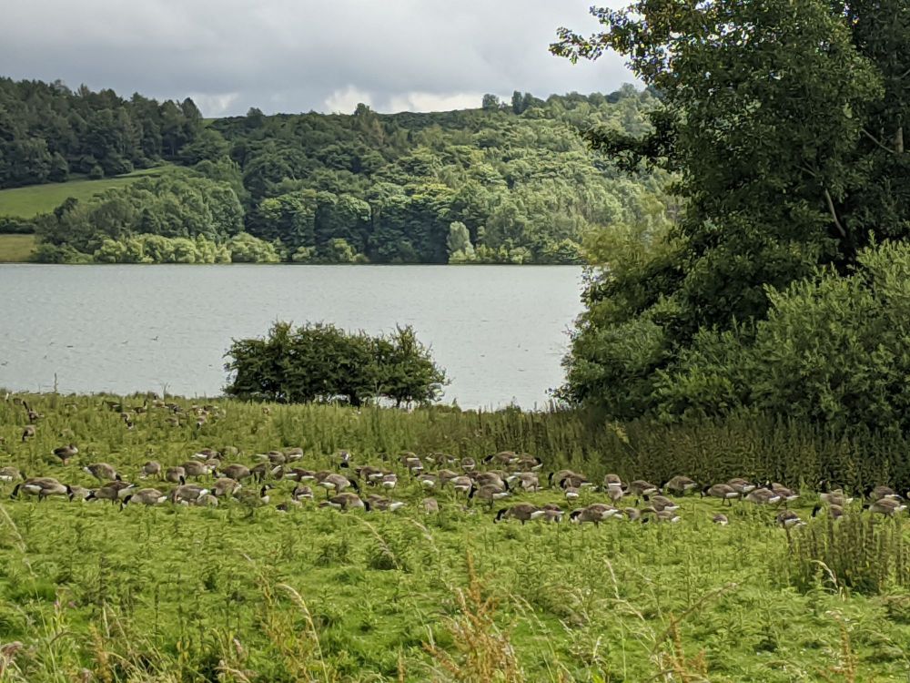 img_20240703_2009567180108172964732703