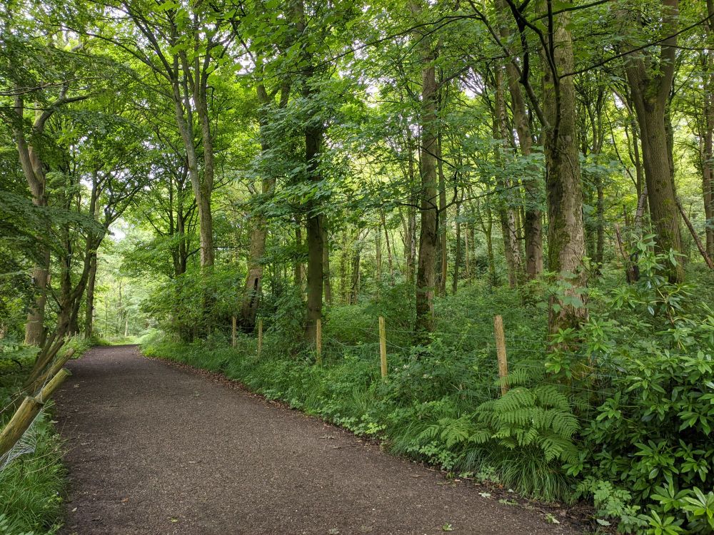 img_20240703_210017342400227711296250