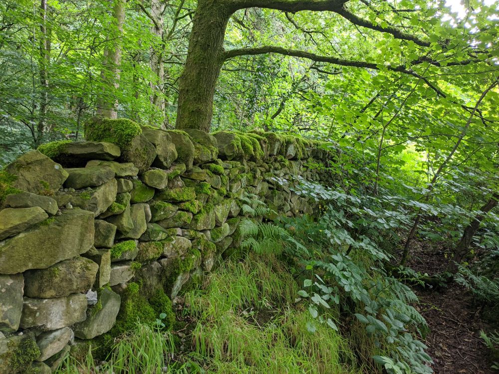 img_20240703_2102073887976600469305918