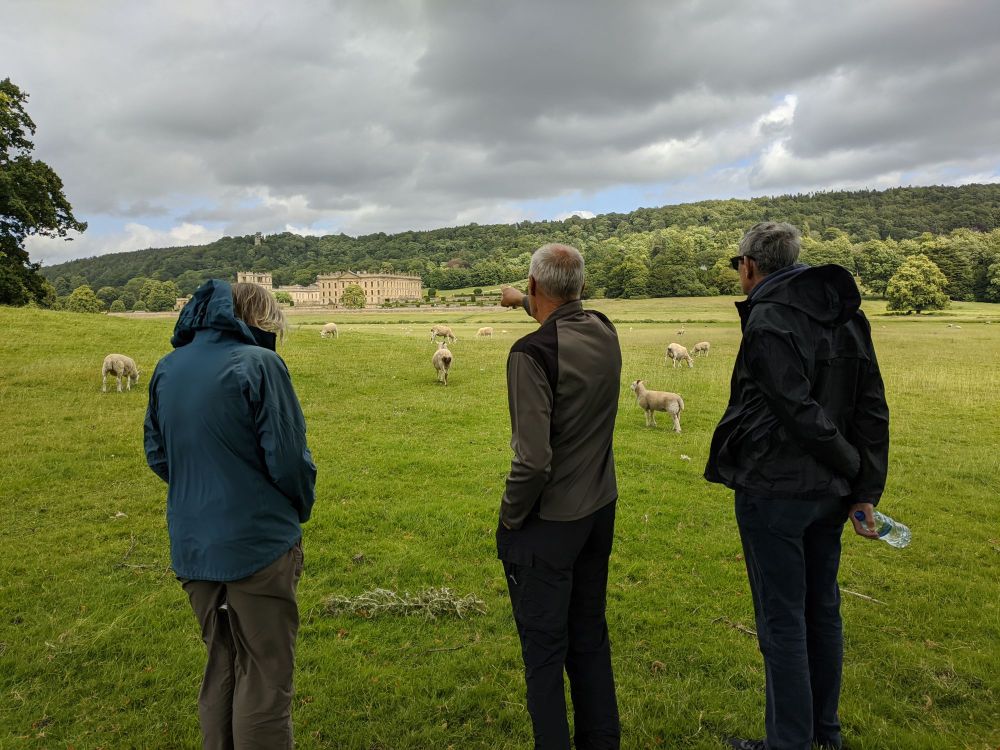 img_20240704_2236148983932700122238145