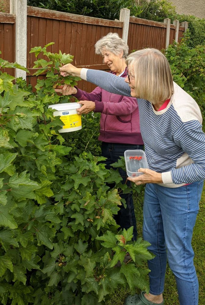 img_20240705_1557095433979117879625982