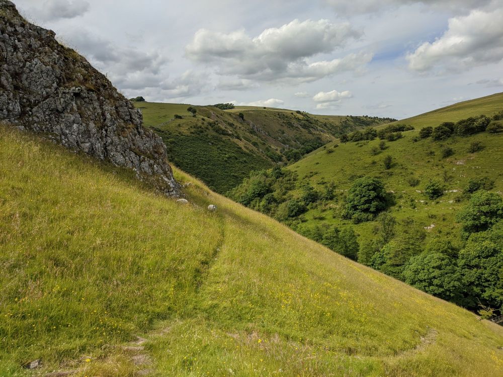 img_20240705_230013768011435192267937