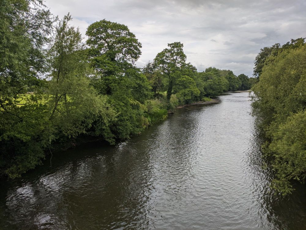 img_20240706_2113484289999847605805564