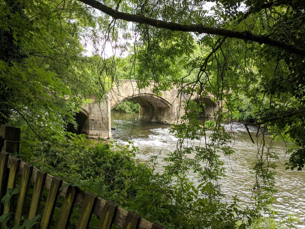 img_20240707_1835336861125332002696701