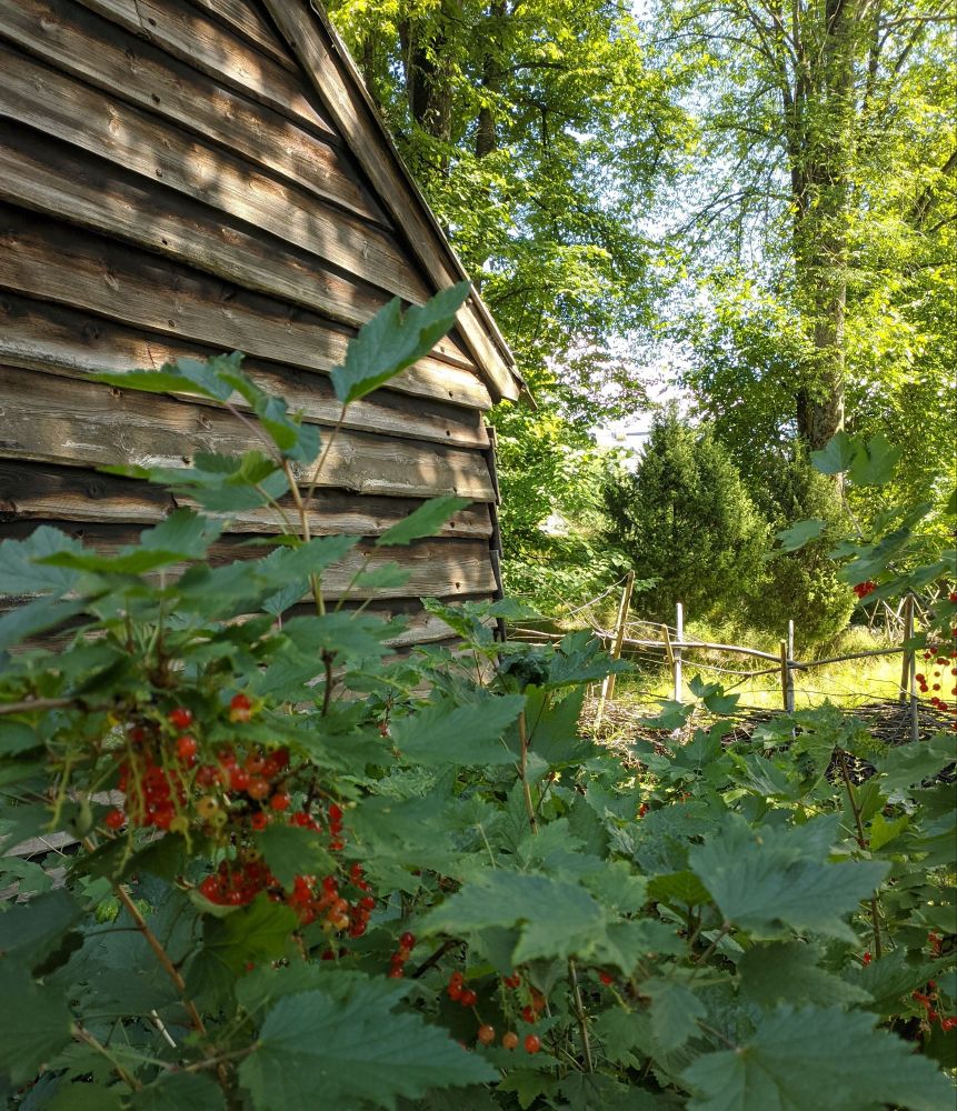 img_20240709_1955153694370720023891555