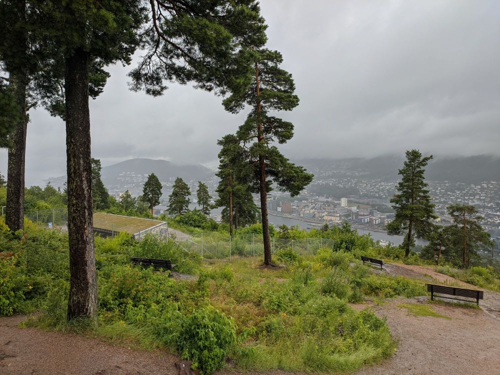 img_20240710_1728081001767974166446240