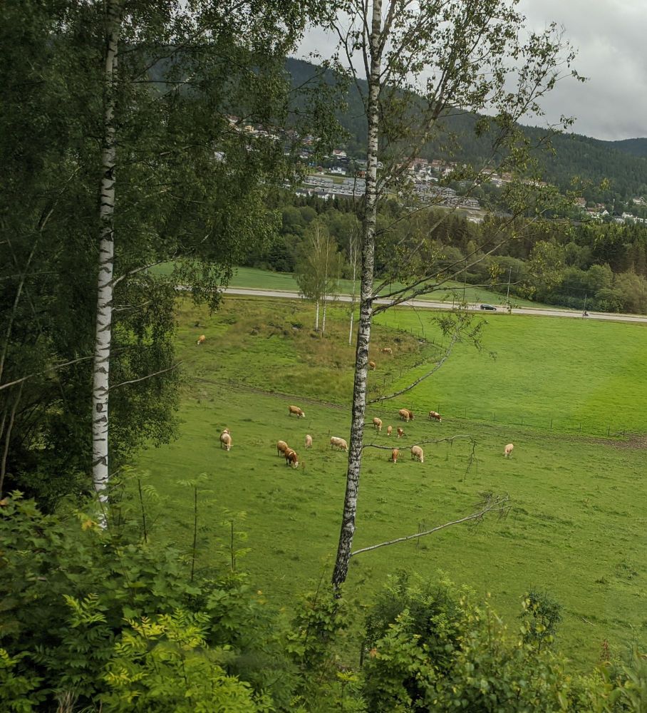 img_20240711_1836295983813842280130474