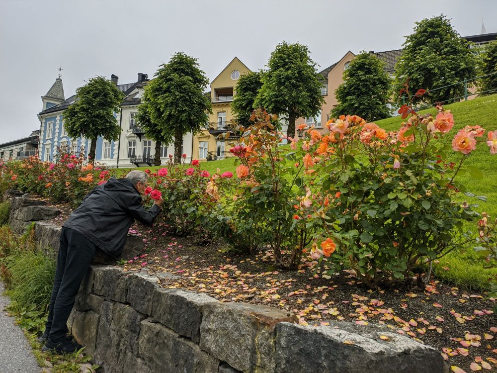 img_20240712_1630466225894548408824604