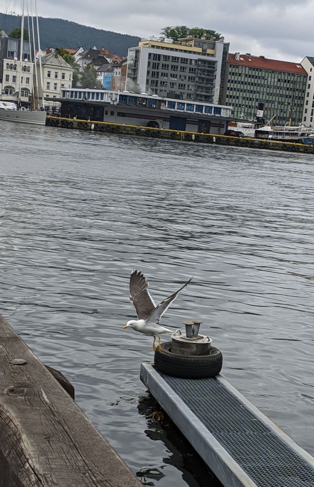 img_20240712_1822374819222796902721900