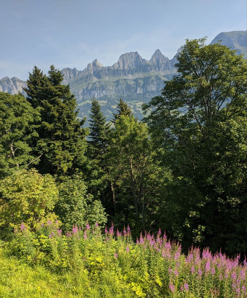 img_20240718_1529221718034800189408576