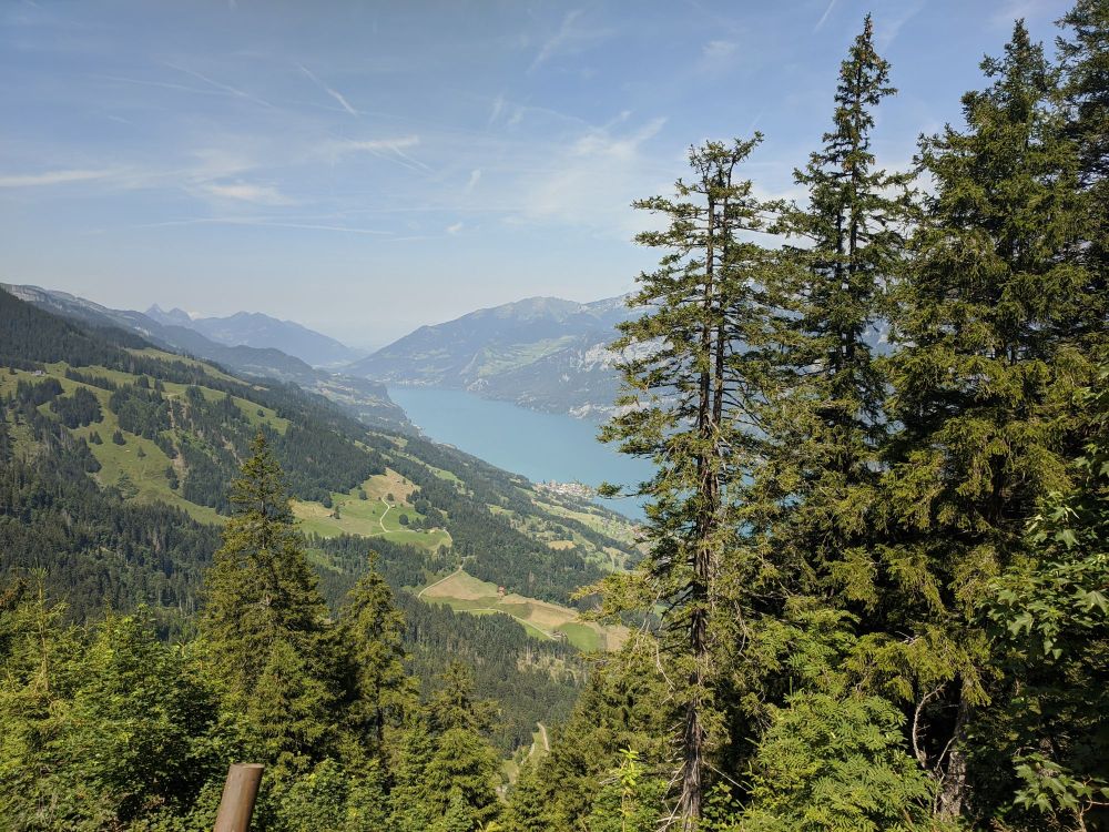 img_20240718_1750544393087013057200185