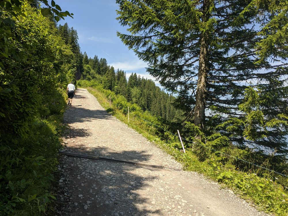 img_20240718_1819367241752425721755469