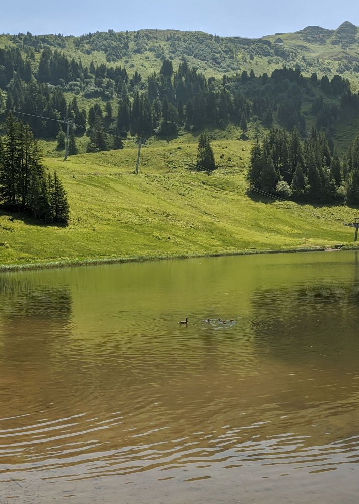 img_20240718_1905073698308219820674803