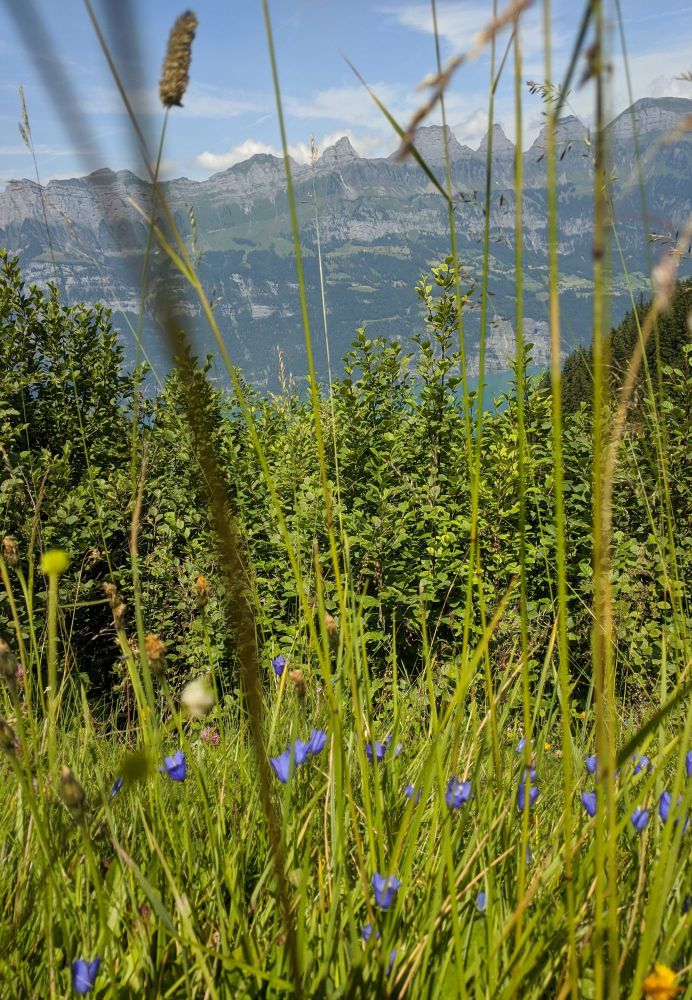 img_20240718_1937362738723115560767641