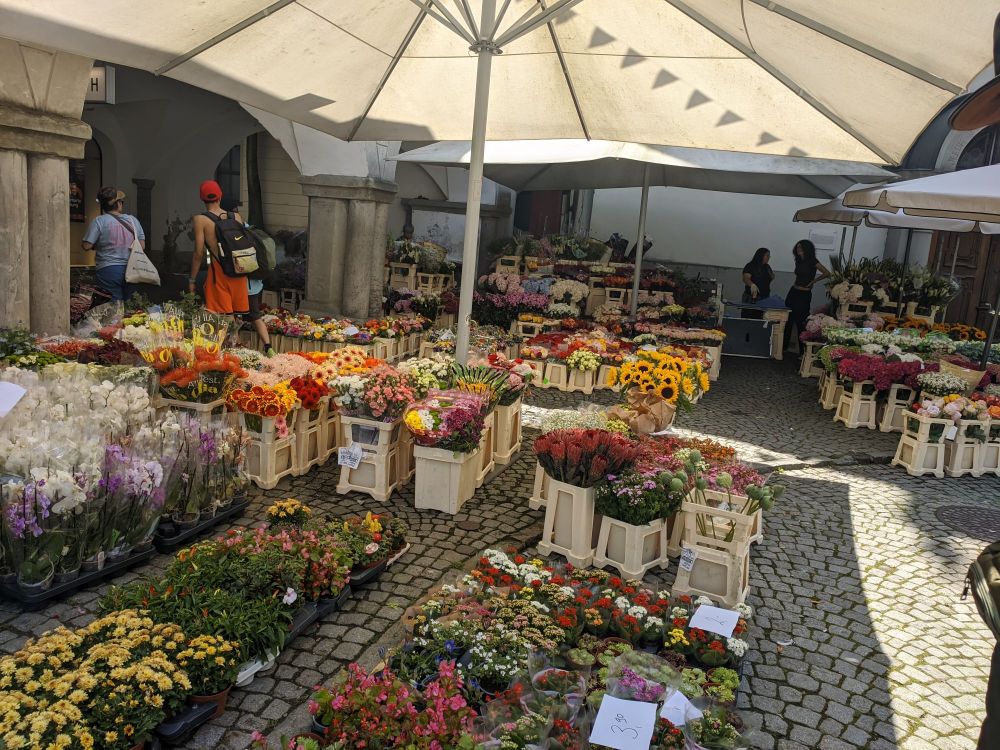 img_20240719_1841143461784695530715807