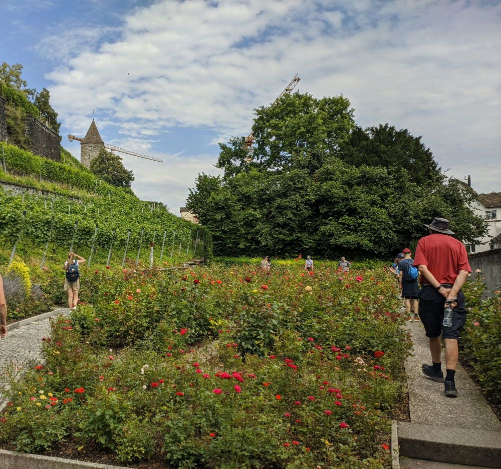 img_20240719_2159481787178192313661875