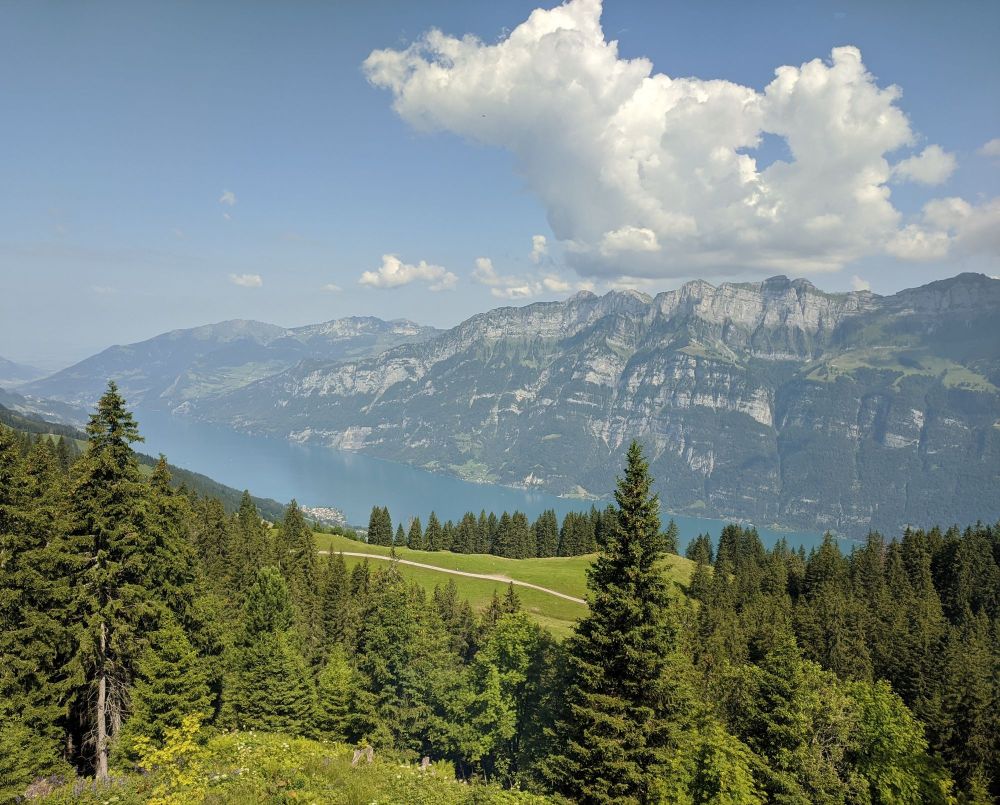 img_20240720_1657171525869885772452480